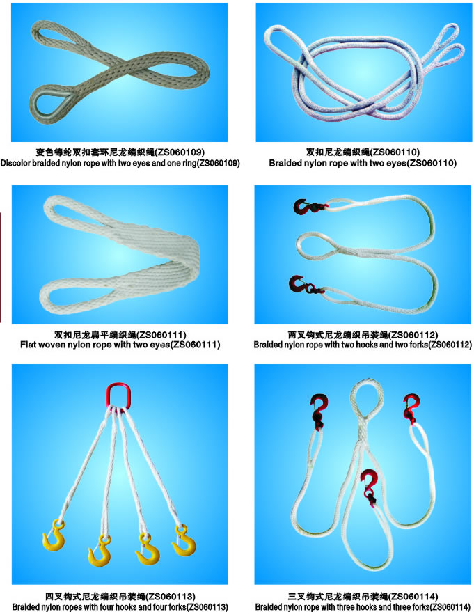 可供品種(ZS0601)c2